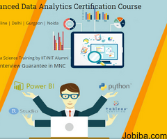 Data Analytics Course in Delhi, with Free R, Python Certification by SLA Institute,