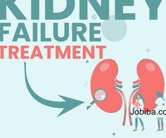 Kidney Treatment by Homeopathy: A Comprehensive Approach to Optimal Healing