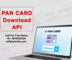 Get Lost Pan Card API for Download Pan Card