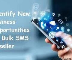 Bulk SMS Reseller Program: The most easiest way of Business