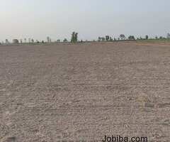 100 Acre Agricultural Land For Sale In Bilaspur Gurgaon