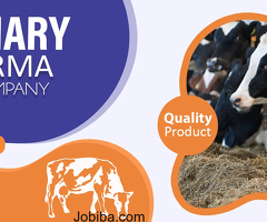 Which company provides the best animal health care products in India?