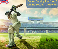 Online Cricket ID for IPL and T20 World Cup Matches in 2024 at Vipexchbook Book