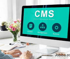 Professional CMS Development services In The USA