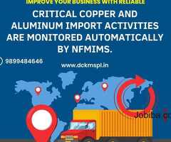 Insightful Solutions: NFMIMS Innovating Copper and Aluminium Import Management