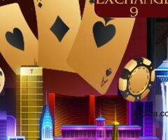 One of the most popular and trusted Betting Platform is Diamond Exchange 9