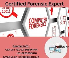 cyber forensics expert | digital investigation