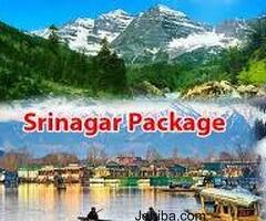 Srinagar 4 Nights 5Days Tour Package starting @19000
