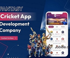 Fantasy Cricket App Development Experts