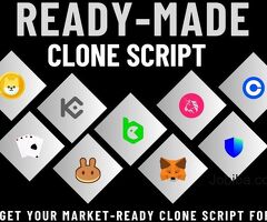 Your ultimate pathway for peak successs is our market-ready clone scripts