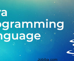 best training institute for Java Programming in Rohini