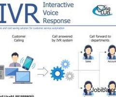 Facilitate your business with IVR