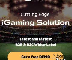 Gambling software services