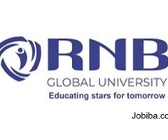 BBA In International Business Colleges | RNB Global University