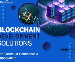 Blockchain Development Solutions: Empowering Innovation