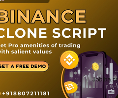 Binance clone script: Get Pro amenities of trading with salient values