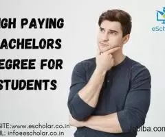 High-paying bachelor's degree for students
