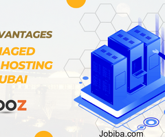 Discover the Benefits: Managed VPS Hosting in Dubai