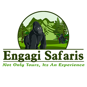 Engagi Safaris