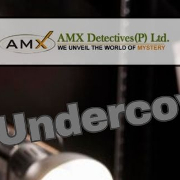 AMX DETECTIVE