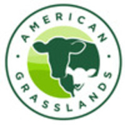 American Grassland
